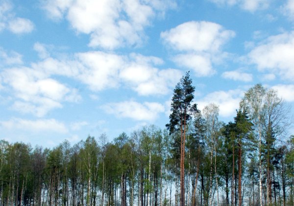 Visas pavasara krāsas