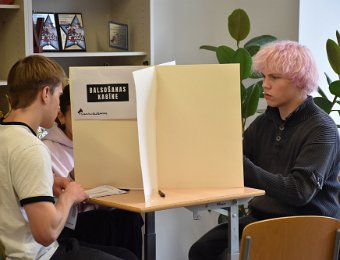Signālvēlēšanas